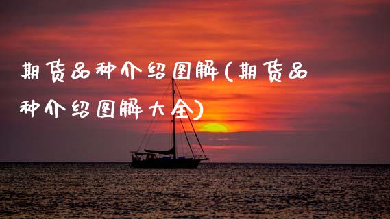 期货品种介绍图解(期货品种介绍图解大全)_https://www.tuowei-mould.com_原油期货_第1张