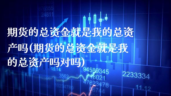 期货的总资金就是我的总资产吗(期货的总资金就是我的总资产吗对吗)_https://www.tuowei-mould.com_恒指期货_第1张